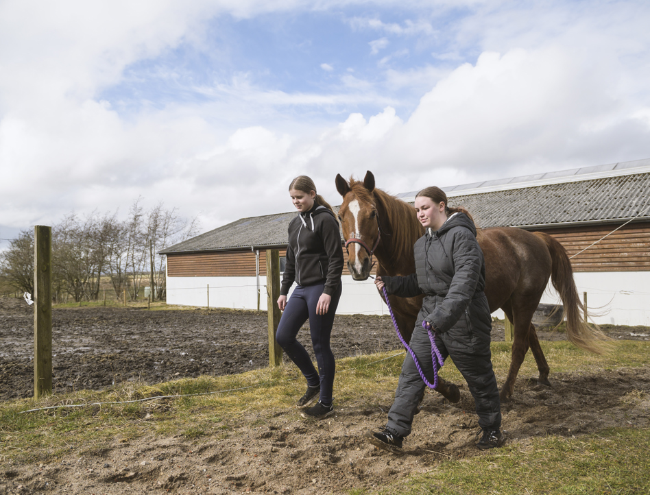 Mejlby Efterskole 2042